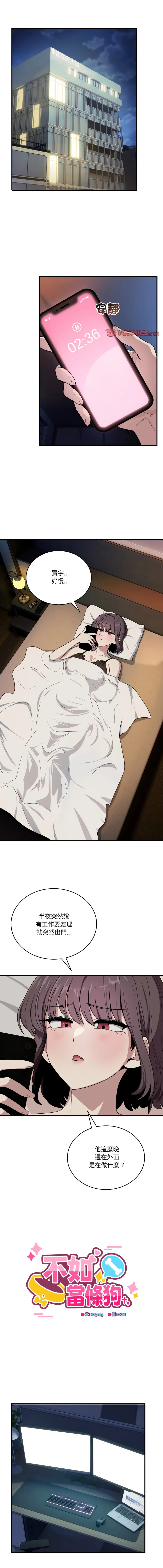 不如当条狗 的i6话