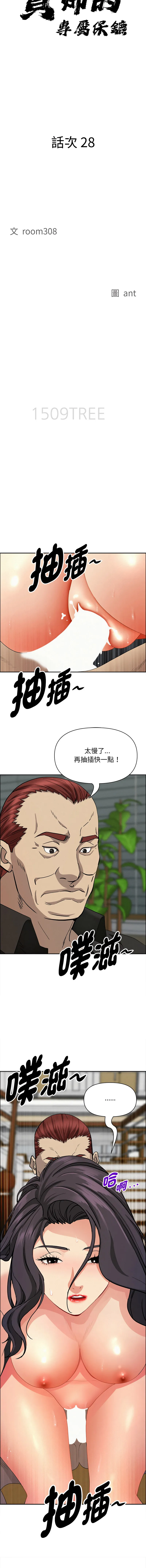 贵妇的专属保镳 第28话