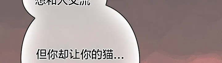 猫猫牵红线 第3话