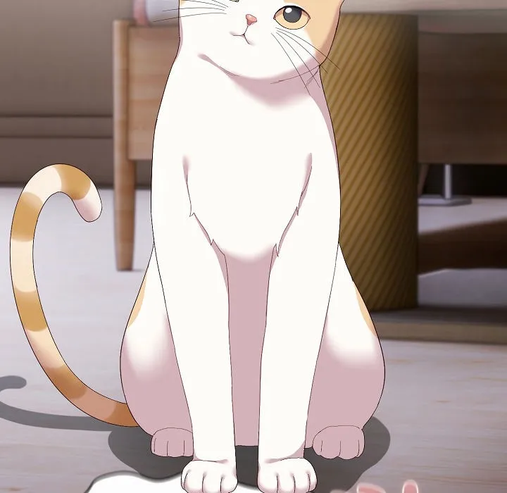 猫猫牵红线 第2话