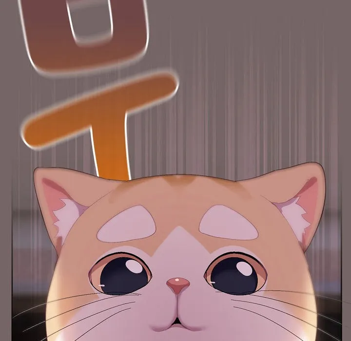 猫猫牵红线 第3话