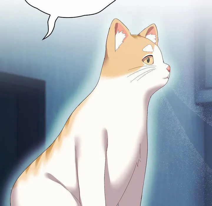 猫猫牵红线 第2话