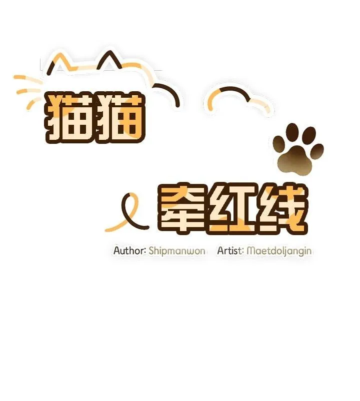 猫猫牵红线 第13话