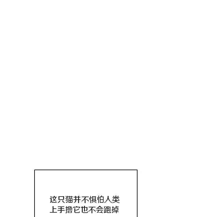 猫猫牵红线 第1话