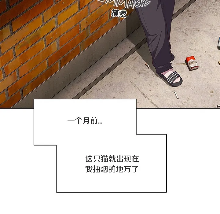 猫猫牵红线 第1话