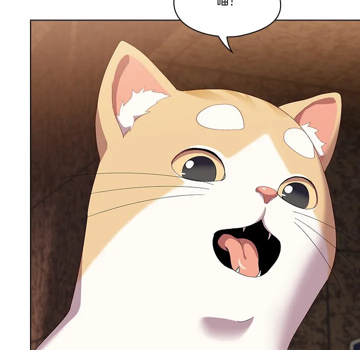 猫猫牵红线 第1话