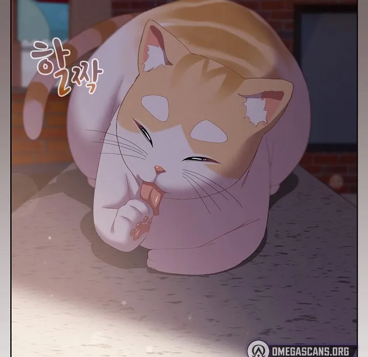 猫猫牵红线 第3话