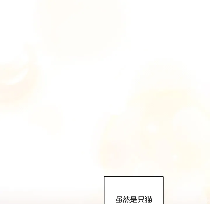 猫猫牵红线 第1话