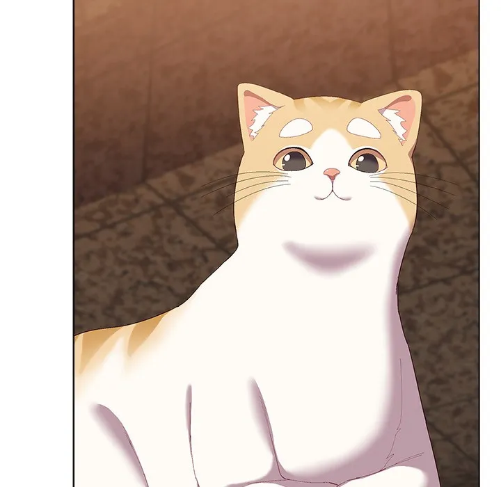 猫猫牵红线 第1话