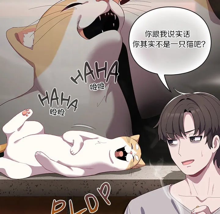 猫猫牵红线 第1话