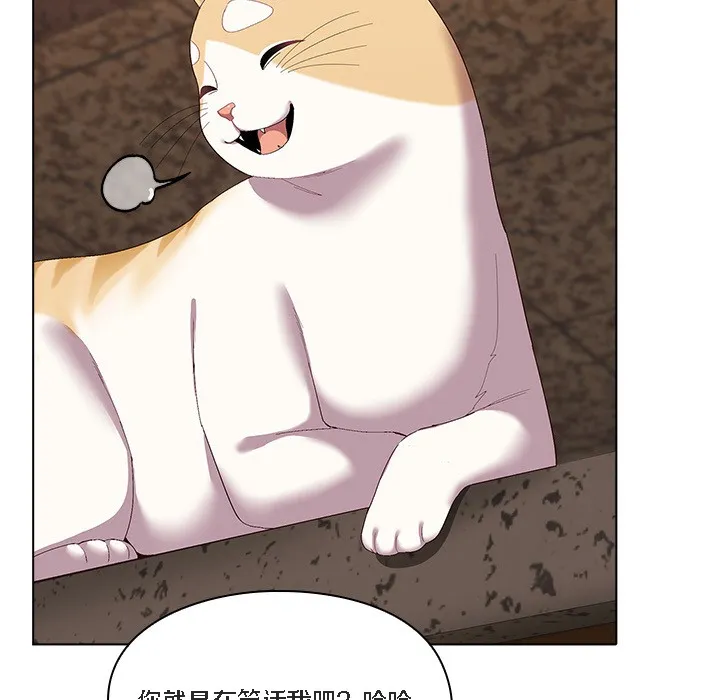 猫猫牵红线 第1话