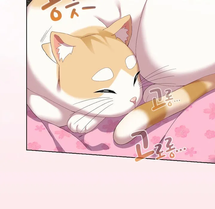 猫猫牵红线 第3话