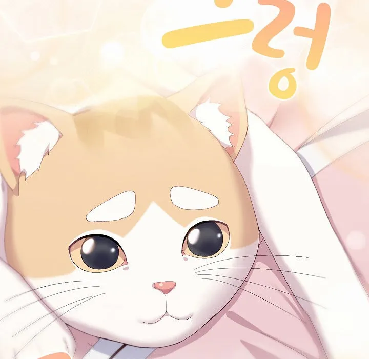 猫猫牵红线 第2话