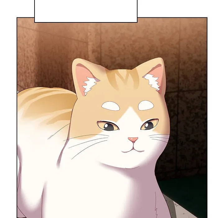 猫猫牵红线 第1话