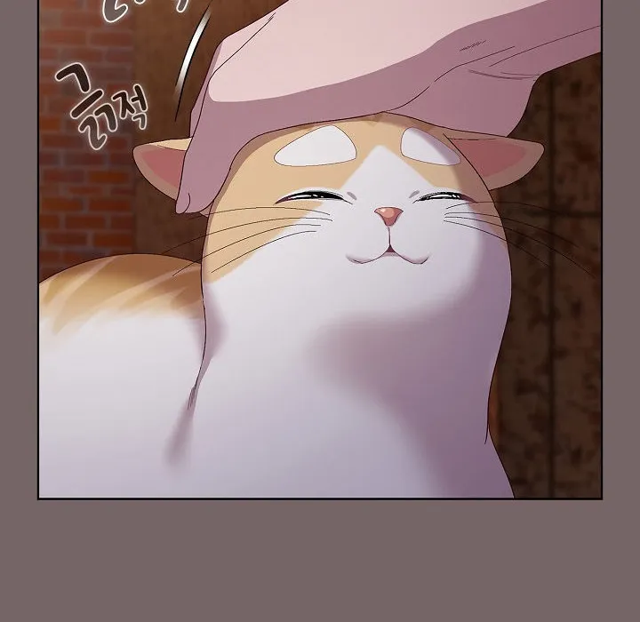 猫猫牵红线 第3话