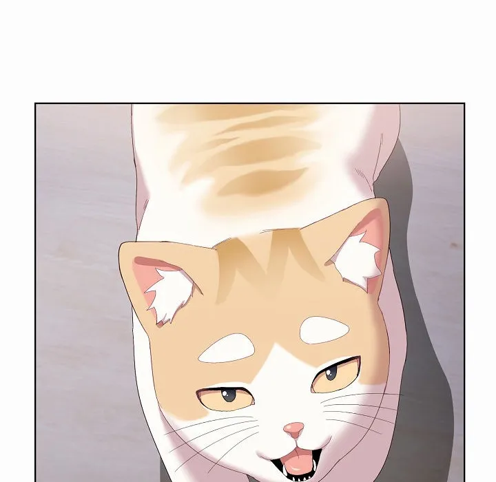 猫猫牵红线 第2话
