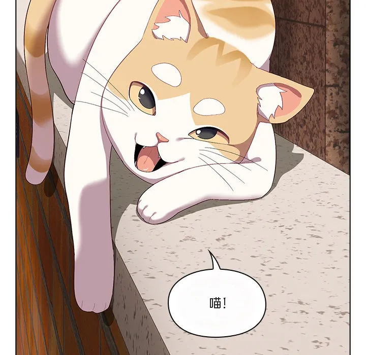 猫猫牵红线 第1话