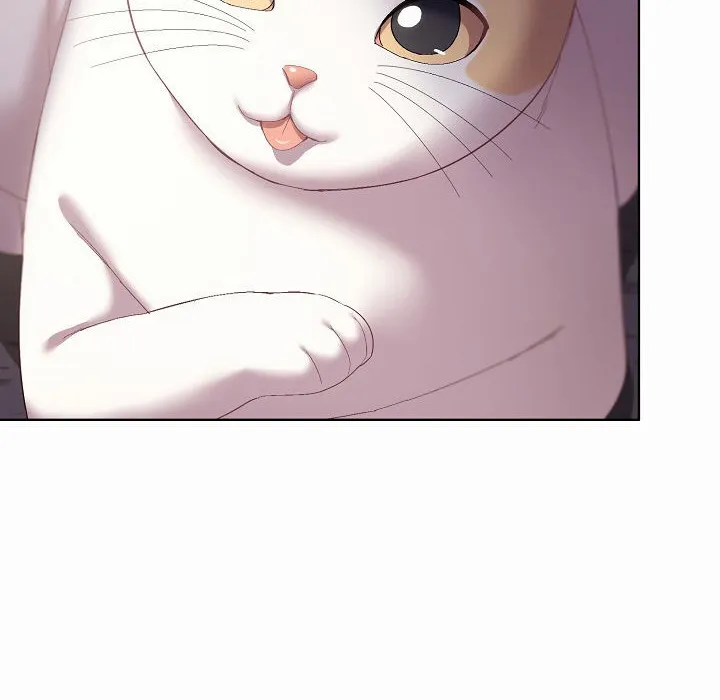 猫猫牵红线 第3话