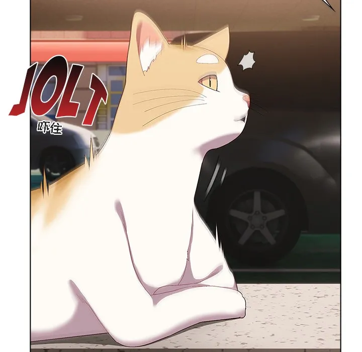猫猫牵红线 第1话