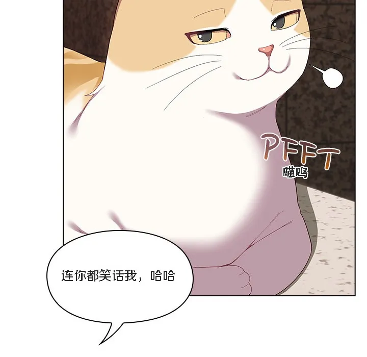 猫猫牵红线 第1话