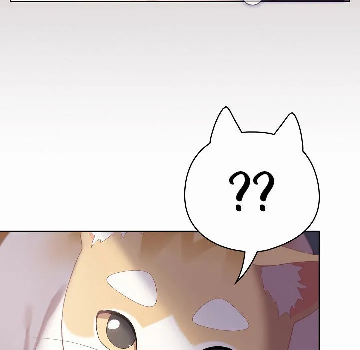 猫猫牵红线 第3话
