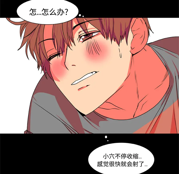 成人竞技场 成人竞技场：3