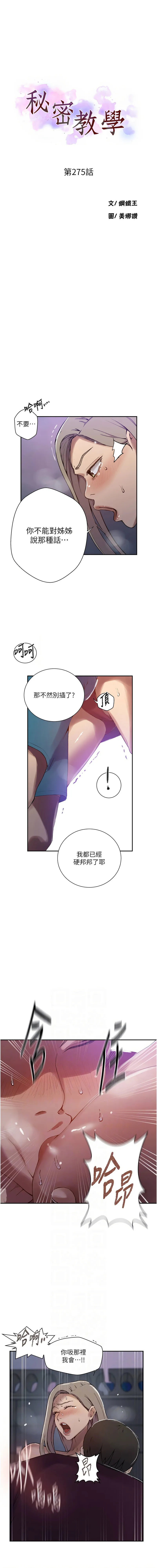 秘密教学 - 韩国漫画 第275话