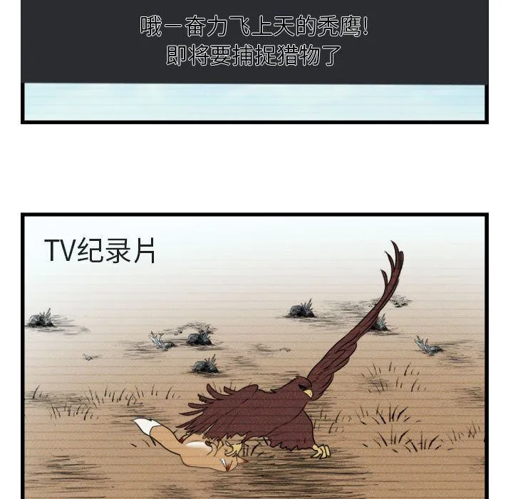 萌兽出没 萌兽出没:第3话
