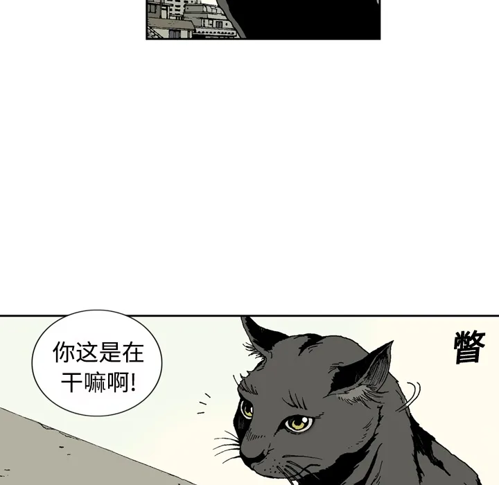 逐步靠近 逐步靠近：1