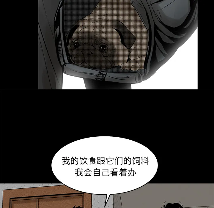 韩道修 韩道修：4