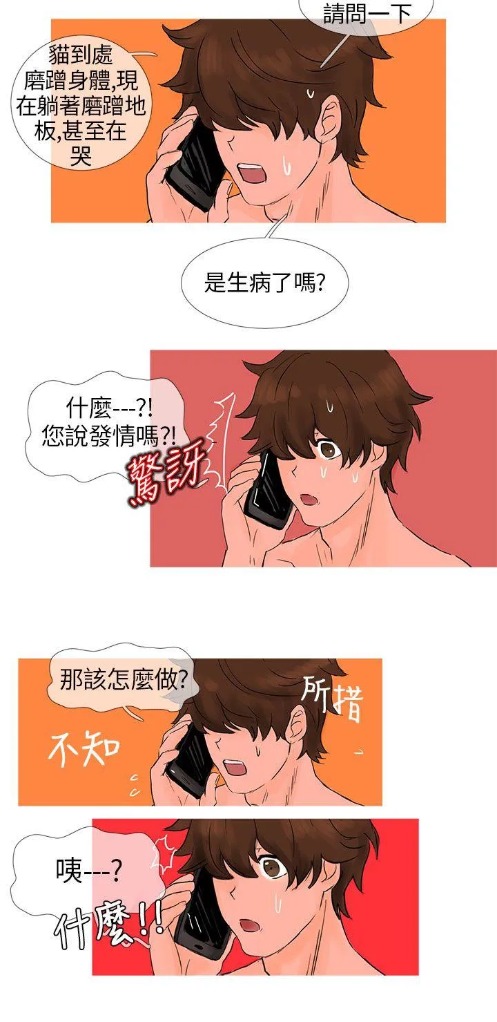 小野猫驯服手册 第3话