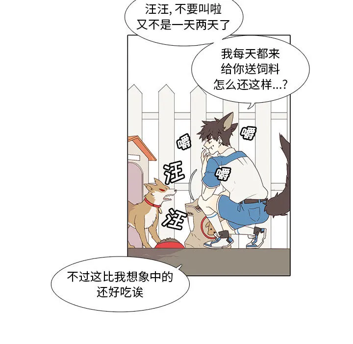野性之城 野性之城：1