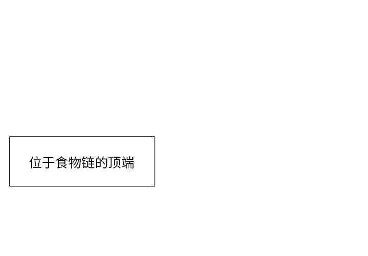 野性之城 野性之城：1