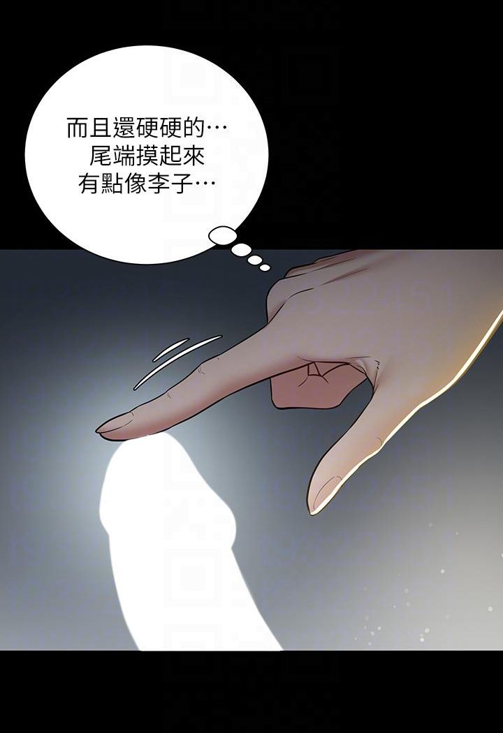 豪色复仇 第2话-意外目睹宅邸的秘密