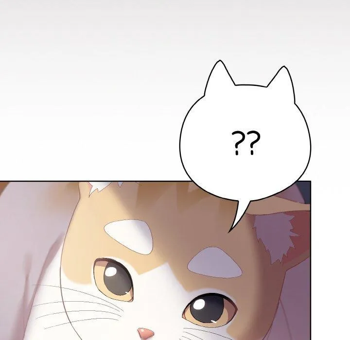 喵来的恋爱 第3话