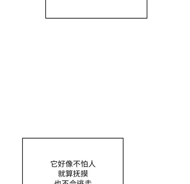 喵来的恋爱 第1话
