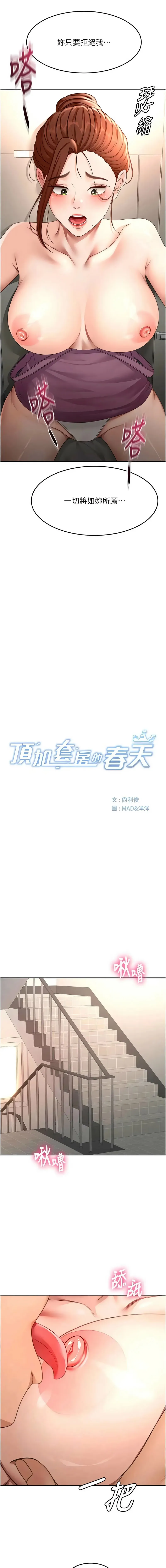 顶加套房的春天 第77话