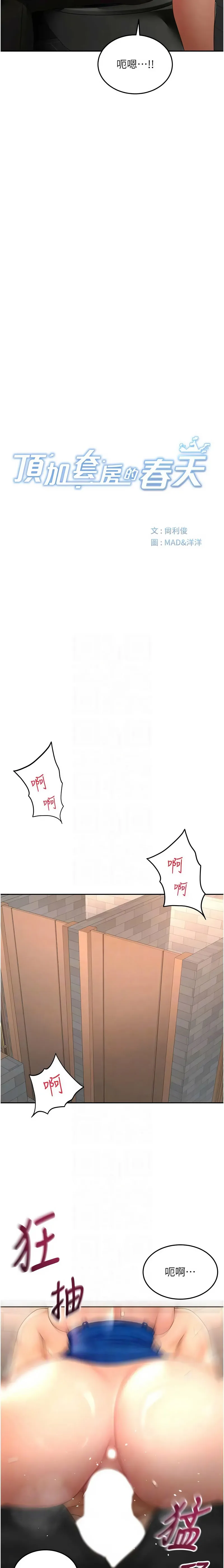 顶加套房的春天 第72话