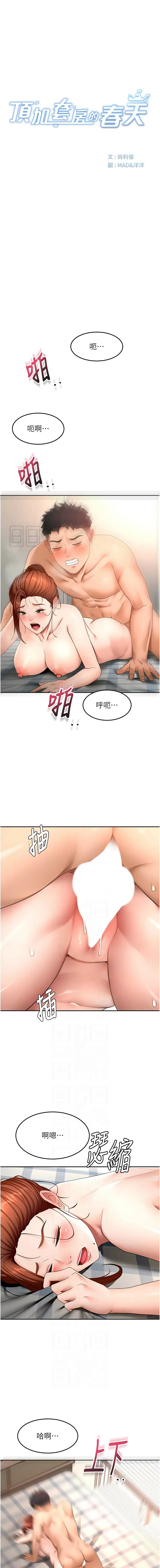 顶加套房的春天 第63话